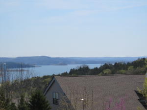 2 Treehouse Ln #1, Branson, MO 65616 photo 1