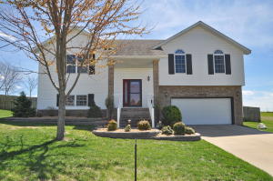 2908 W Trevor Trl, Ozark, MO 65721 photo 1