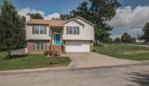 245 Blossom Vly, Branson, MO 65616 photo 1