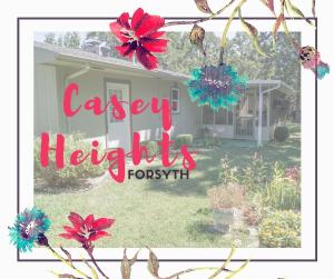 210 Black Hawk Rd, Forsyth, MO 65653 photo 1