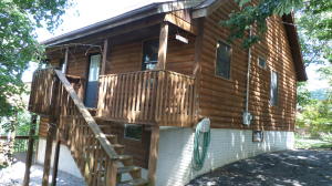 209 Waterview Ln, Lampe, MO 65681 photo 1