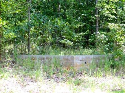 360 Black Oak Rd, Mammoth Spring, AR 72554 photo 1