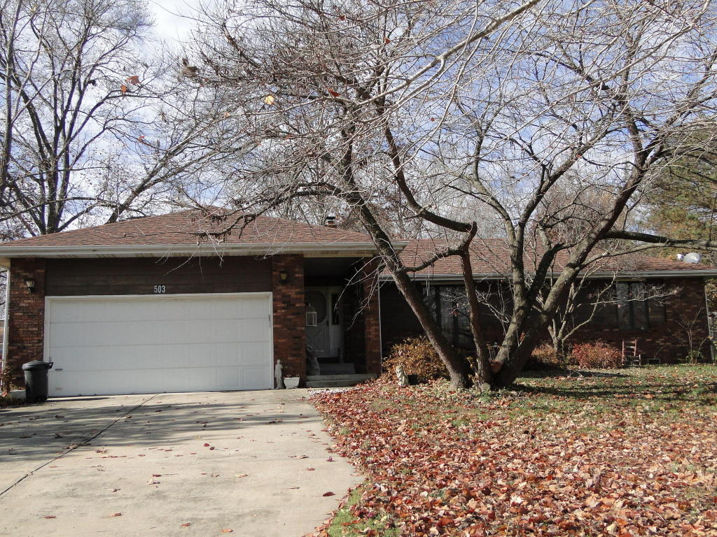503 NW 11th Ave, Ava, MO 65608 photo 1