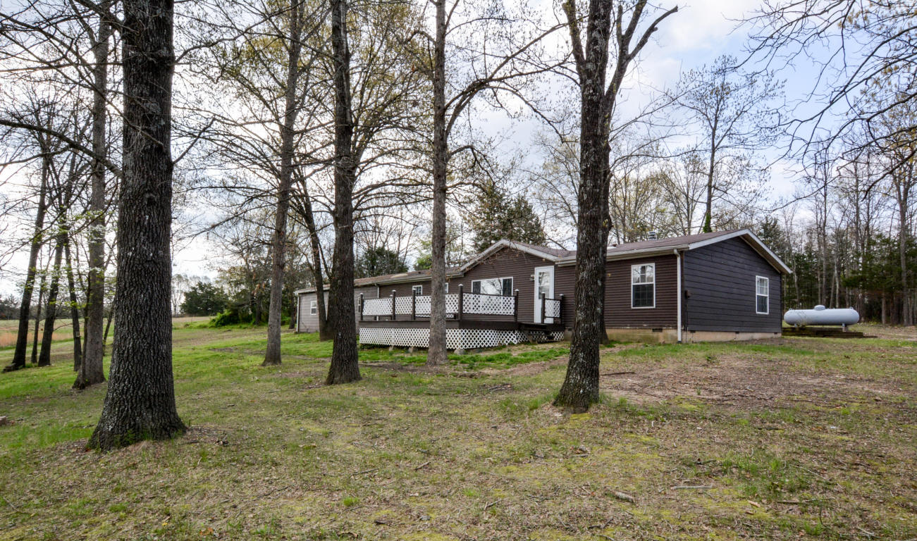 456 Cron Rd, Lampe, MO 65681 photo 1
