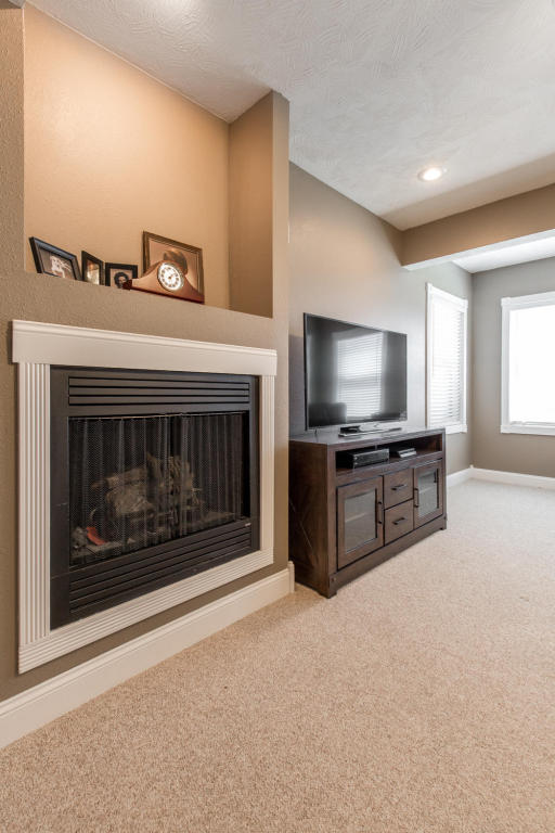 116 Elm View Dr, Ozark, MO 65721 photo 29