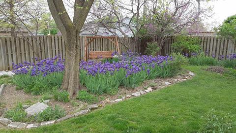 606 E Sunset St, Nixa, MO 65714 photo 20