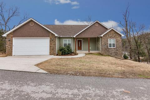 156 Green Briar Dr, Branson, MO 65616 photo 1