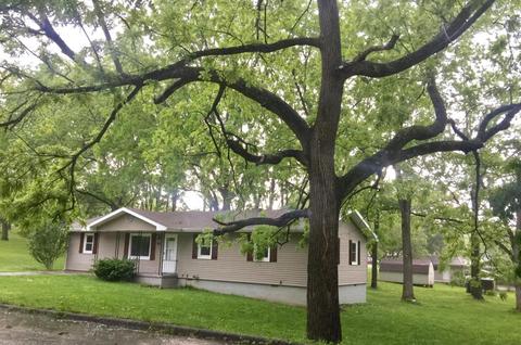 901 S 6th Ave, Ozark, MO 65721 photo 1