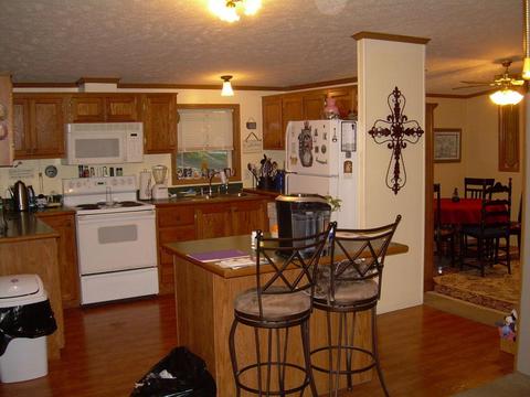 187 Depew Dr, Branson, MO 65616 photo 1
