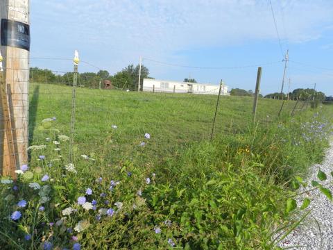 152 Stormy Rd, Spokane, MO 65754 photo 1