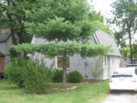 2440 N Ramsey Ave, Springfield, MO 65803 photo 1