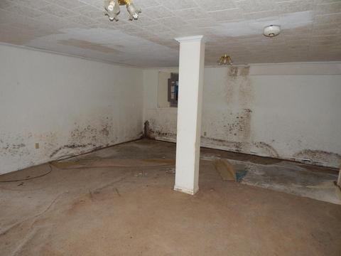 240 Iron Oaks, Ozark, MO 65721 photo 15
