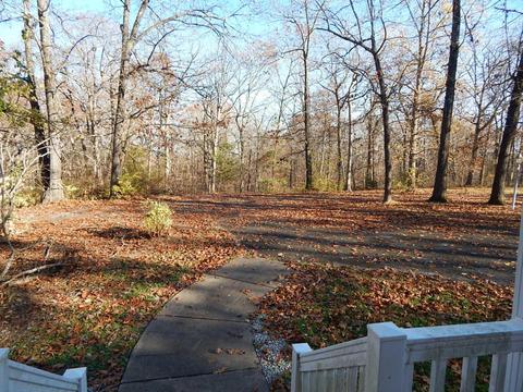 240 Iron Oaks, Ozark, MO 65721 photo 2