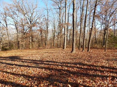 240 Iron Oaks, Ozark, MO 65721 photo 5