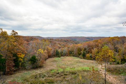 2442 Center Rd, Ozark, MO 65721 photo 106