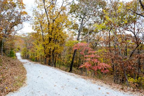 2442 Center Rd, Ozark, MO 65721 photo 109
