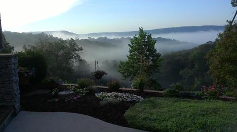 2442 Center Rd, Ozark, MO 65721 photo 8