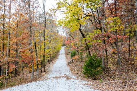 2442 Center Rd, Ozark, MO 65721 photo 6
