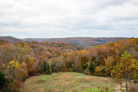 2442 Center Rd, Ozark, MO 65721 photo 105