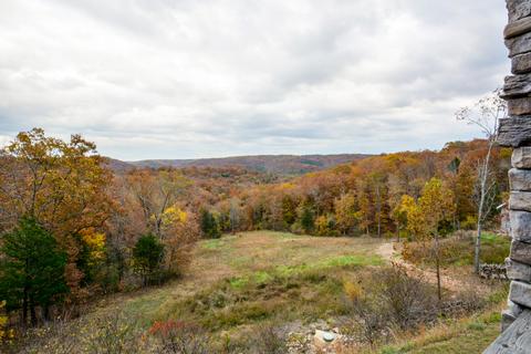 2442 Center Rd, Ozark, MO 65721 photo 5