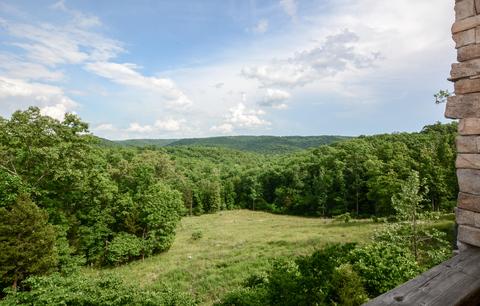 2442 Center Rd, Ozark, MO 65721 photo 15