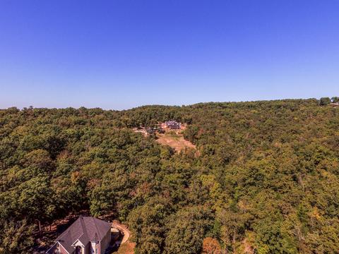 2442 Center Rd, Ozark, MO 65721 photo 89