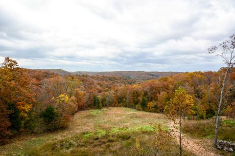 2442 Center Rd, Ozark, MO 65721 photo 4