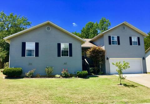 395 Eagle Dr, Forsyth, MO 65653 photo 1