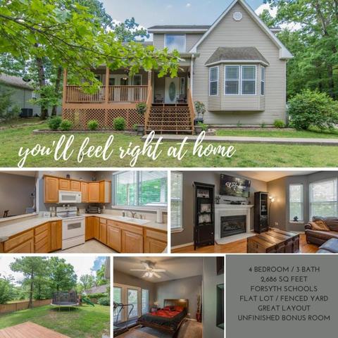 425 Hobart Dr, Forsyth, MO 65653 photo 1