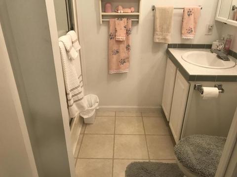 281 Briar Cliff Rd, Lampe, MO 65681 photo 27