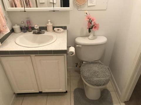 281 Briar Cliff Rd, Lampe, MO 65681 photo 28