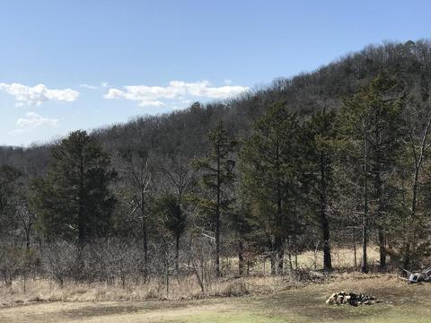 281 Briar Cliff Rd, Lampe, MO 65681 photo 35