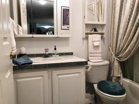281 Briar Cliff Rd, Lampe, MO 65681 photo 22
