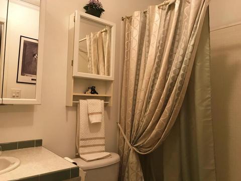281 Briar Cliff Rd, Lampe, MO 65681 photo 21
