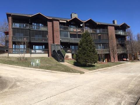 150 Sunken Forest Dr #159, Forsyth, MO 65653 photo 1