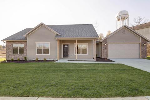 147 Sapling Dr, Branson, MO 65616 photo 1