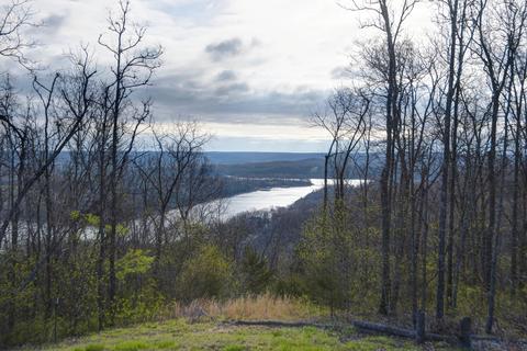 3885 Piney Tower Rd, Cape Fair, MO 65624 photo 1