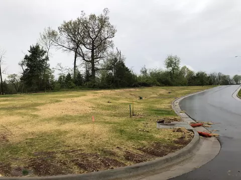 lot94 Cypress Pt, Springfield, MO 65802 photo 4