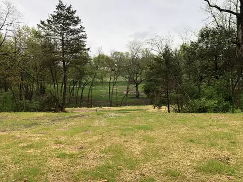 lot95 Cypress Pt, Springfield, MO 65802 photo 3