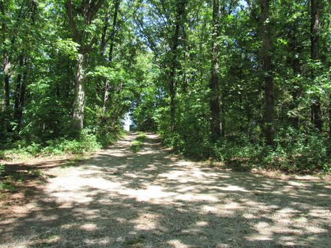 224 Ridge Crest Ln, Marshfield, MO 65706 photo 3