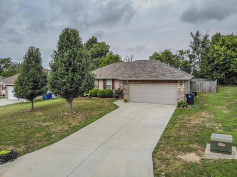 217 N Dixie Ave, Clever, MO 65631 photo 1