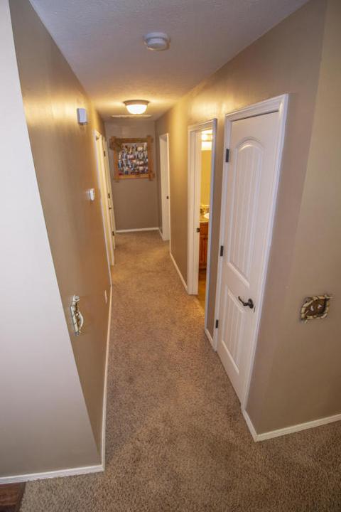 217 N Dixie Ave, Clever, MO 65631 photo 8