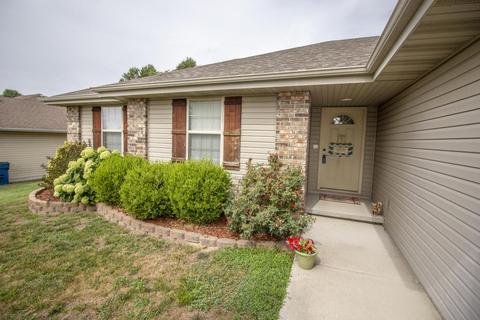 217 N Dixie Ave, Clever, MO 65631 photo 3