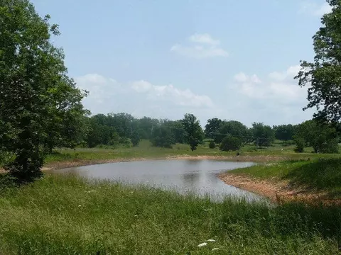 000 The Timbers, West Plains, MO 65775