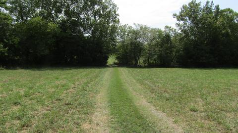 5174 S 225th Rd, Half Way, MO 65663 photo 1