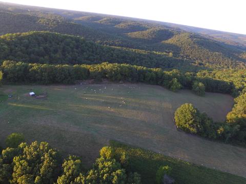 779 Burkhart Rd, Chadwick, MO 65629 photo 1