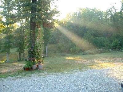 167 Pineview Ln, Mammoth Spring, AR 72554 photo 1