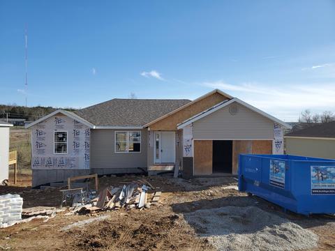 560 Holts Lake Dr, Branson, MO 65616 photo 1
