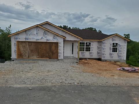 470 Holts Lake Dr, Branson, MO 65616 photo 1