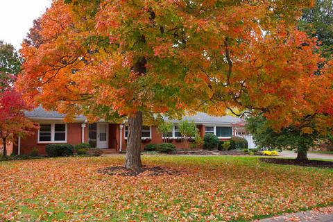 1533 S Clay Ave, Springfield, MO 65807 photo 1